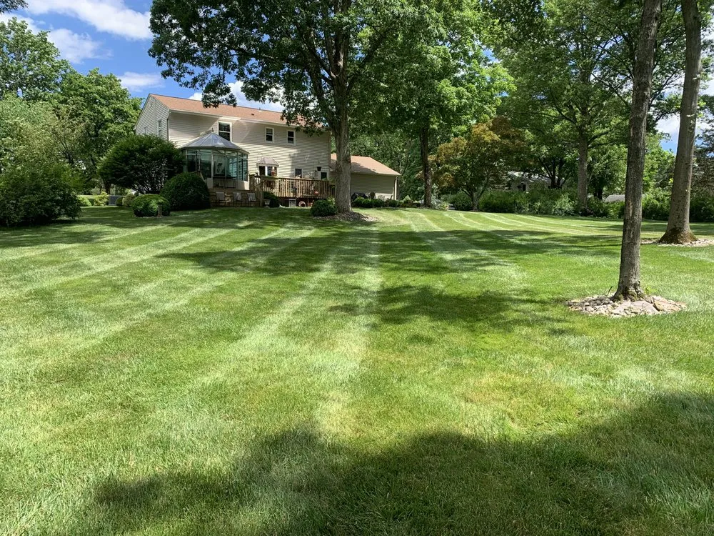 Expert outdoor landscaping in Elizabeth, NJ by Argueta Landscape