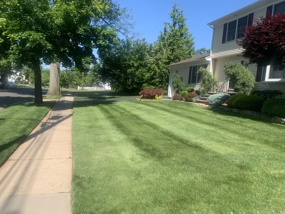 Custom landscape design in Elizabeth, NJ by Argueta Landscape