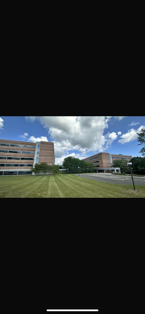 Top-rated outdoor landscaping in Elizabeth, NJ - Argueta Landscape