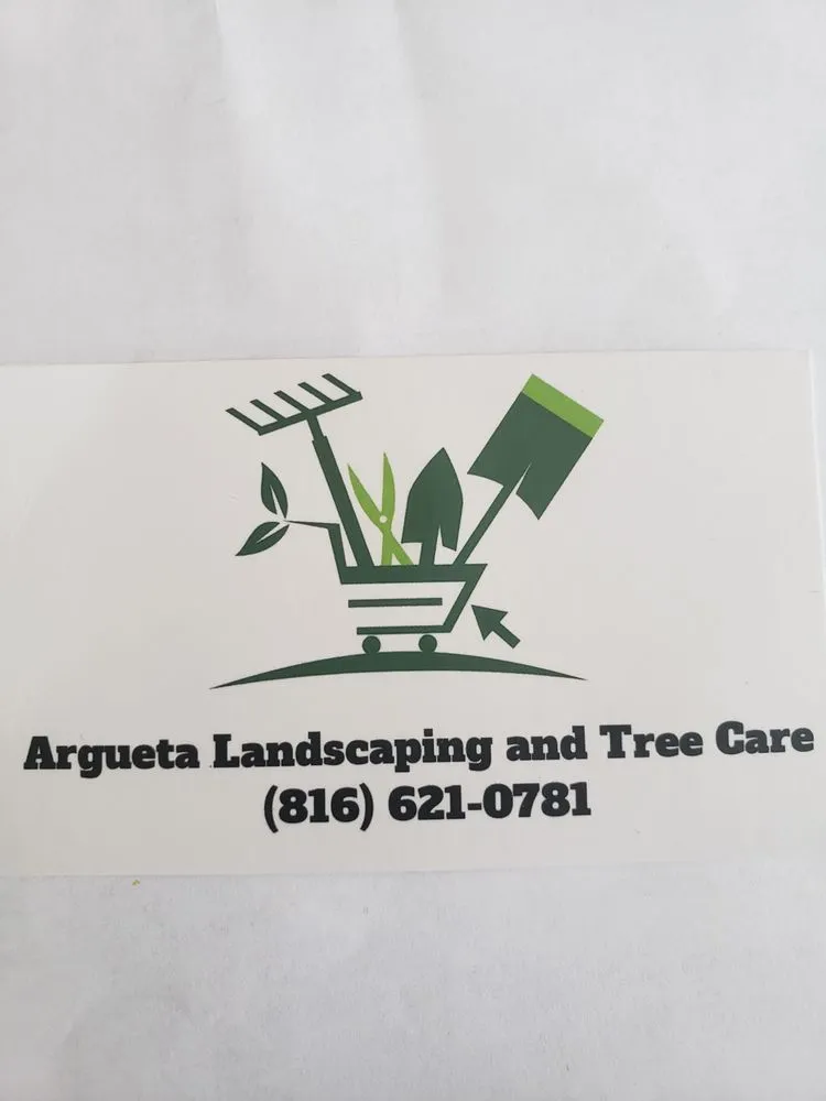 Local yard maintenance experts serving Independence, MO - Argueta Landscaping and Tree Care