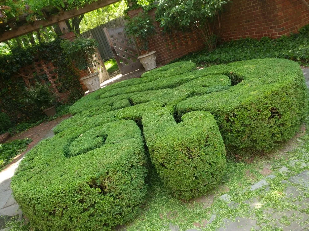 Reliable landscape design in Independence, MO by Argueta Landscaping and Tree Care