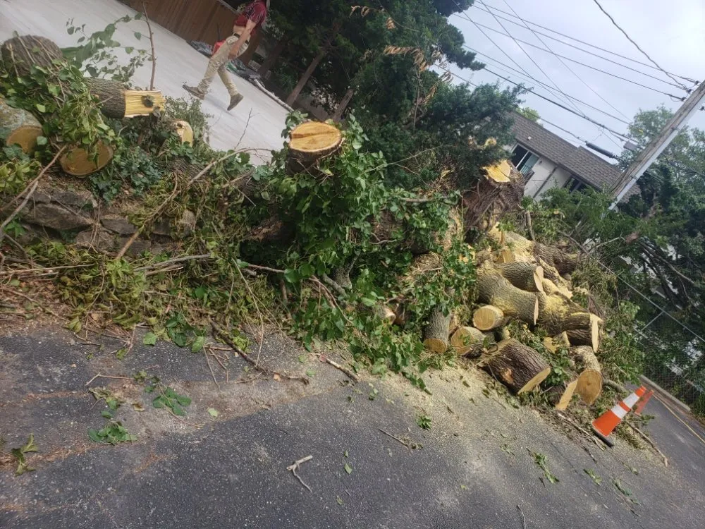 Trusted yard maintenance for homes in Independence, MO by Argueta Landscaping and Tree Care