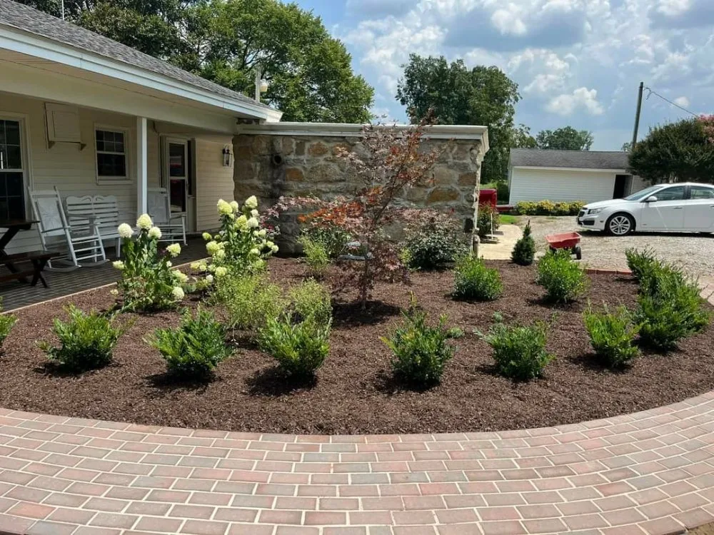 Professional yard cleanup service for residential properties across Independence, MO - Argueta Landscaping and Tree Care