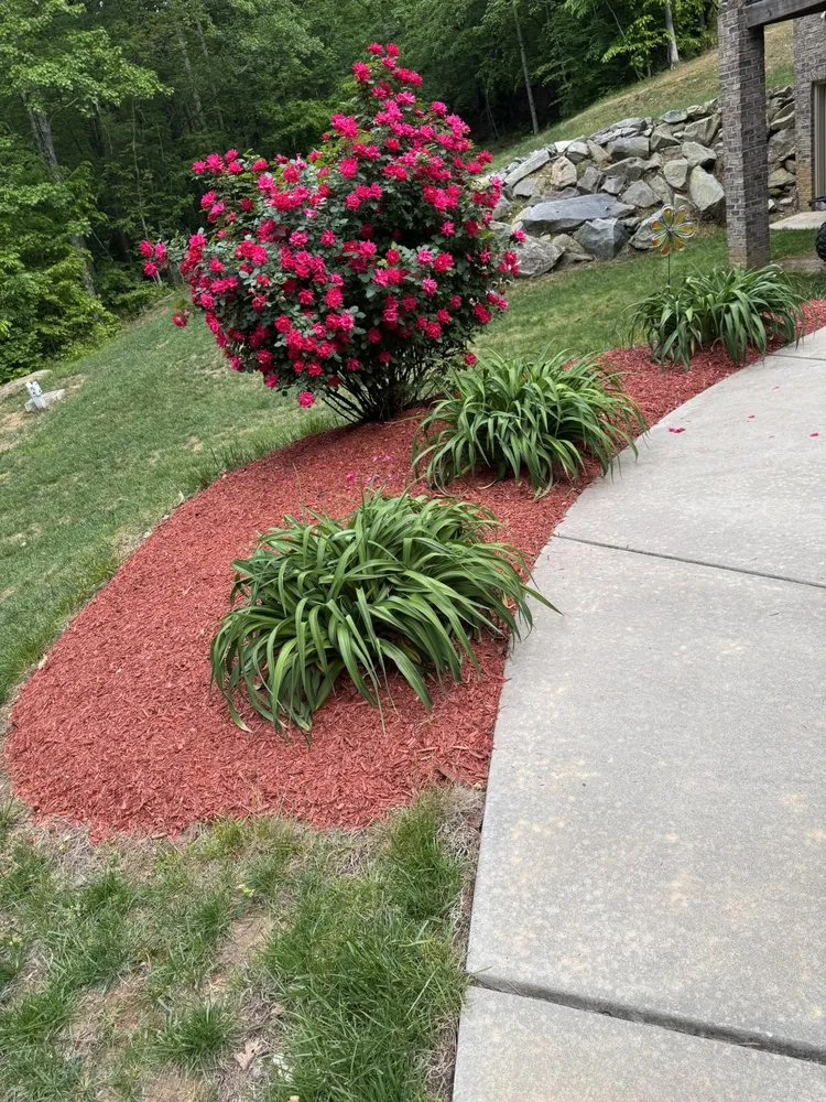 Affordable garden landscaping with custom design in Greensboro, NC by Argueta Services