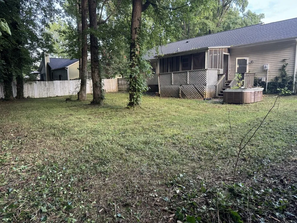 Reliable yard cleanup service in Greensboro, NC by Argueta Services