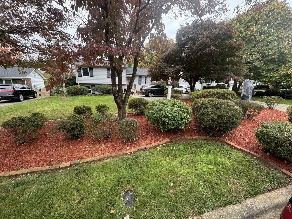 Trusted yard cleanup service experts serving Greensboro, NC - Argueta Services