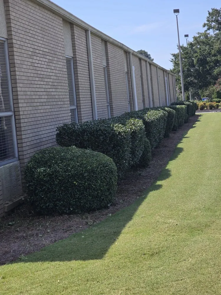 Professional landscape installation experts serving Hartselle, AL - Arguetas Landscaping