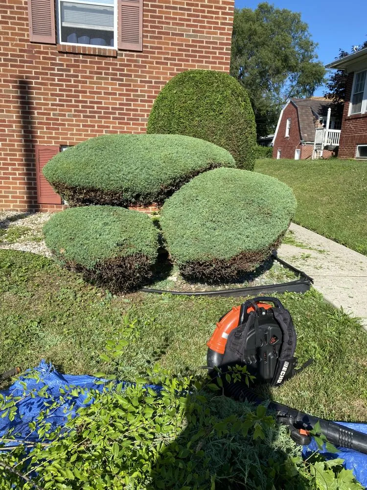 Expert residential landscaping in Allentown, PA by Argueta's Lawn Care