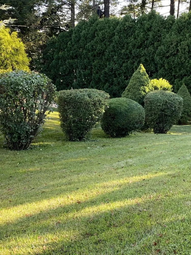 Top-rated landscape installation near you in Allentown, PA by Argueta's Lawn Care