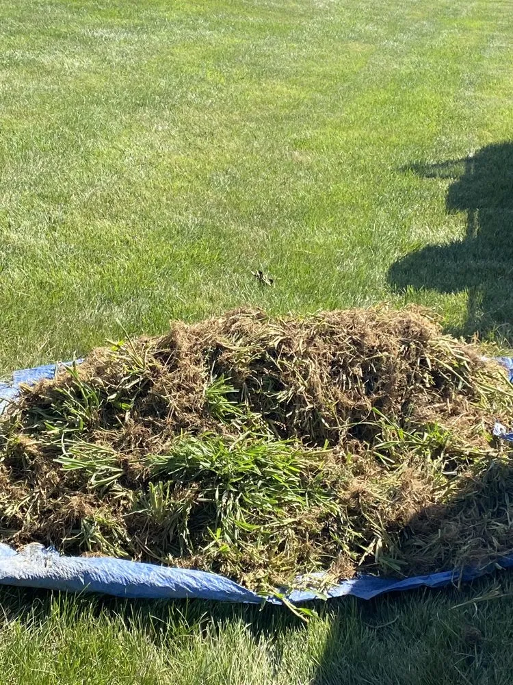 Expert landscaping services in Allentown, PA by Argueta's Lawn Care