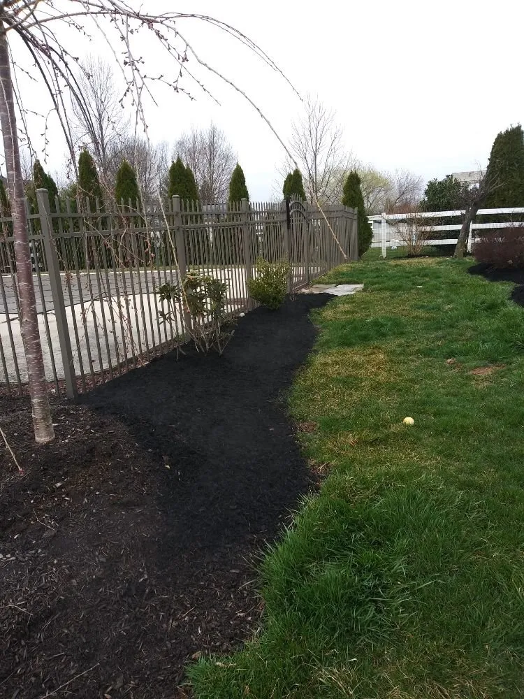 Trusted yard cleanup service experts serving Allentown, PA - Argueta's Lawn Care