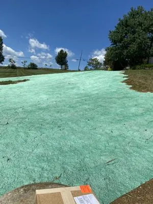 Argueta's Lawn Care Logo