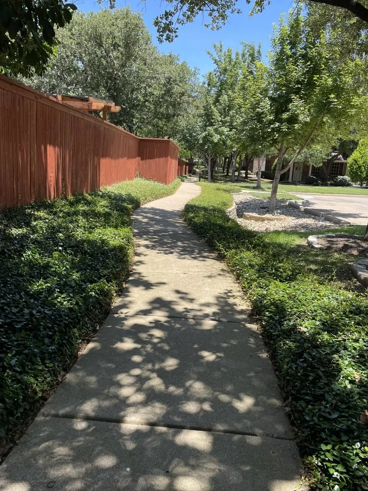 Affordable landscape installation in Fort Worth, TX by Argumedo Landscaping Services