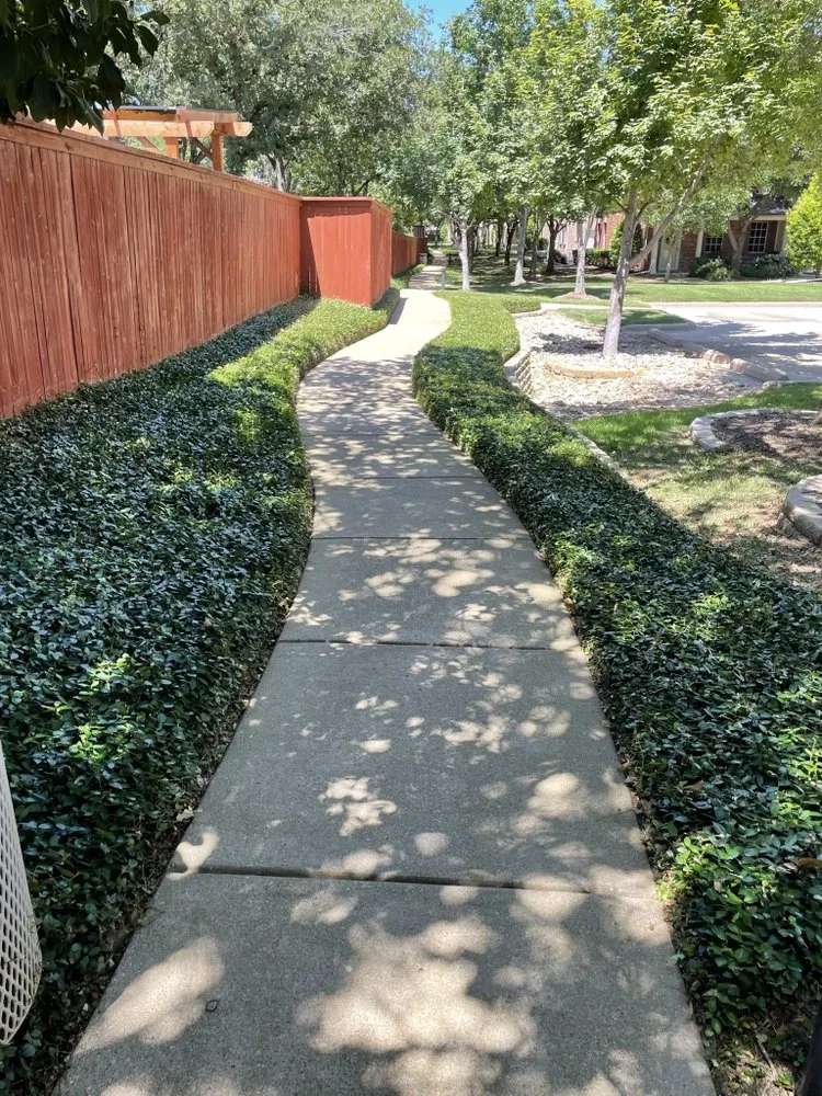 Professional yard maintenance for outdoor upgrades in Fort Worth, TX by Argumedo Landscaping Services