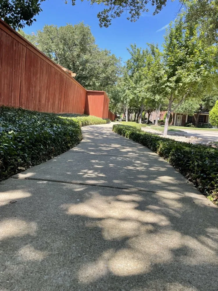 Trusted yard cleanup service in Fort Worth, TX by Argumedo Landscaping Services