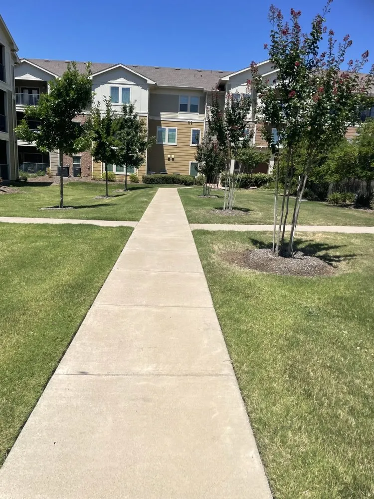 Local landscaping services in Fort Worth, TX - Argumedo Landscaping Services
