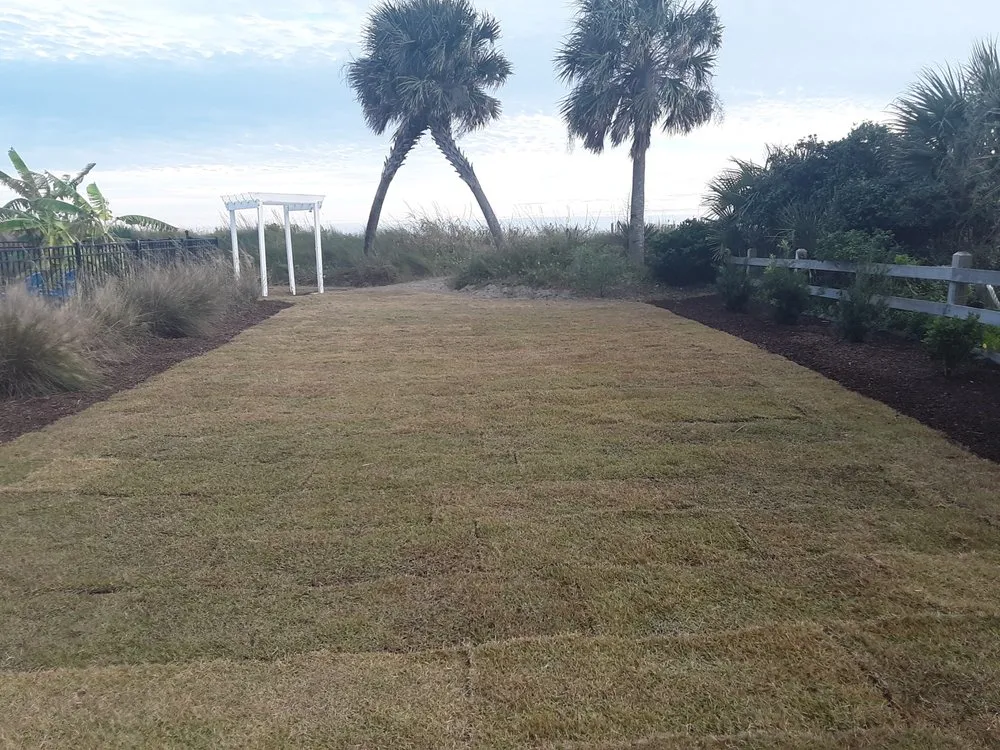 Professional residential landscaping for year-round maintenance in North Charleston, SC by Arh Landscape