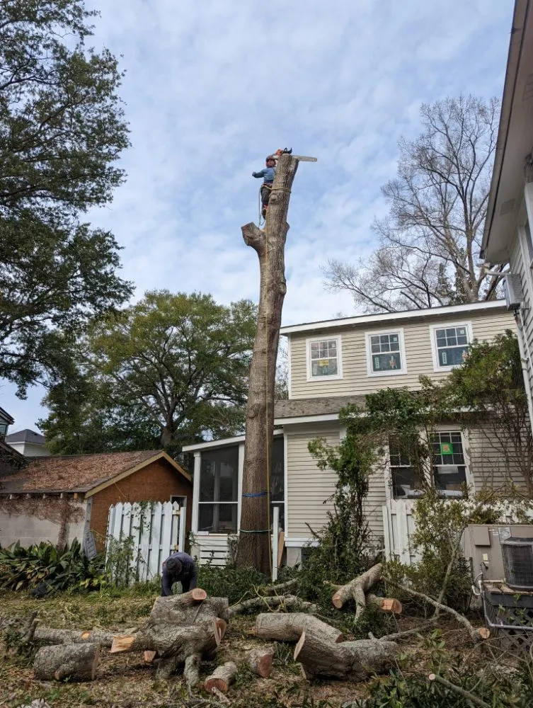 Trusted landscape design in North Charleston, SC - Arh Landscape