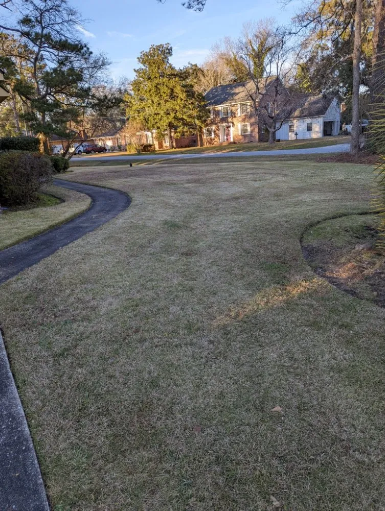 Professional outdoor landscaping in North Charleston, SC by Arh Landscape
