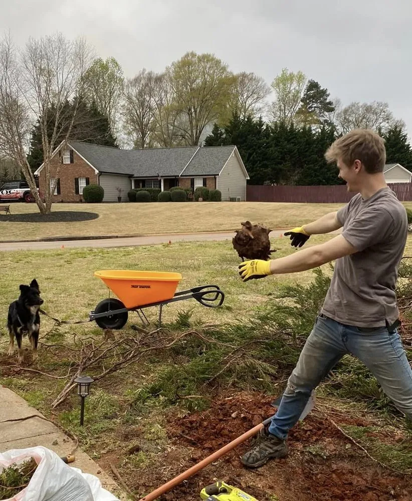 Trusted lawn care service in Jefferson, GA - Ari Fix It