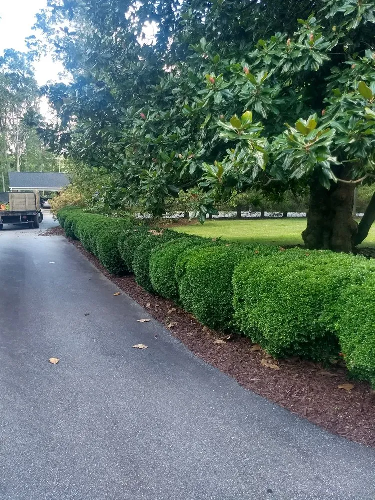 Local landscape design in Fletcher, NC by Aria Landscaping