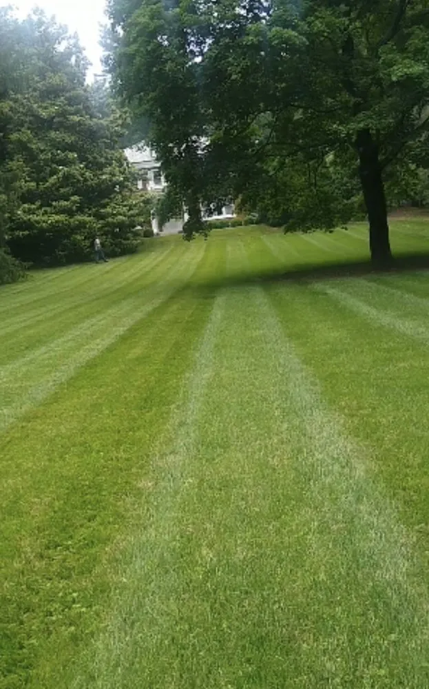 Professional landscape design for residential properties across Fletcher, NC - Aria Landscaping