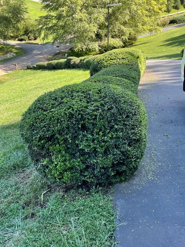 Custom yard maintenance in Fletcher, NC - Aria Landscaping