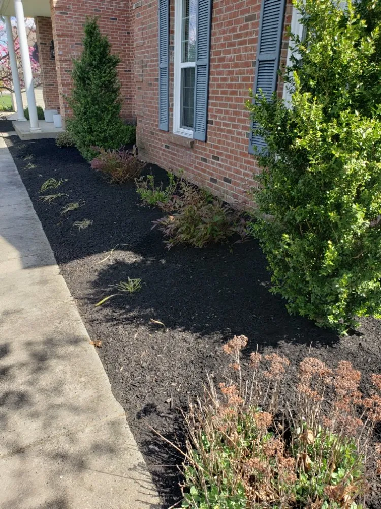 Top-rated yard cleanup service for year-round maintenance across Lansdale, PA - Ariana's Cleaning And Landscaping