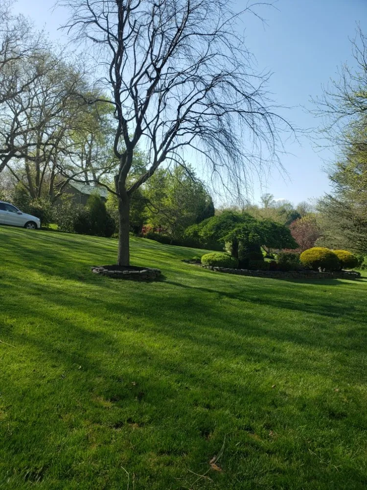 Reliable yard cleanup service for beautiful yards in Lansdale, PA by Ariana's Cleaning And Landscaping