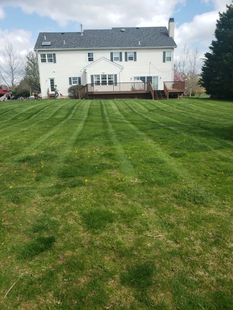 Affordable lawn care service in Lansdale, PA by Ariana's Cleaning And Landscaping