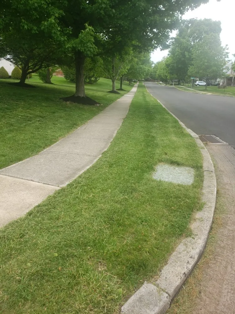 Custom outdoor landscaping for year-round maintenance across Lansdale, PA - Ariana's Cleaning And Landscaping