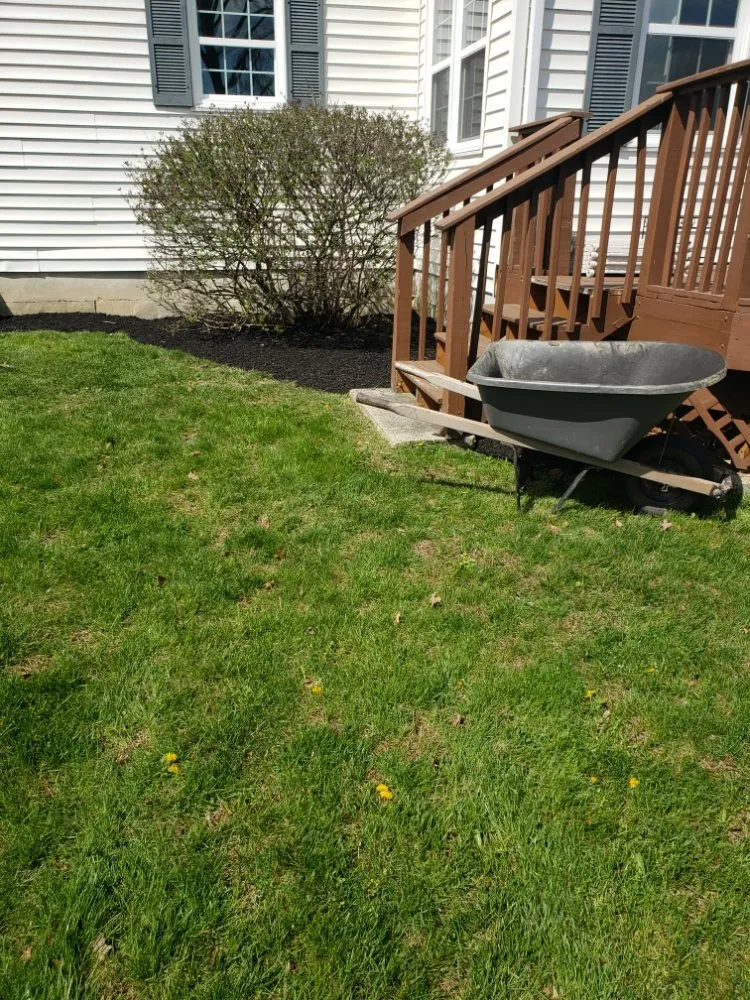 Reliable yard cleanup service in Lansdale, PA by Ariana's Cleaning And Landscaping