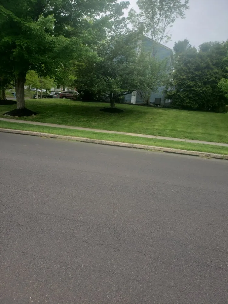 Local outdoor landscaping in Lansdale, PA - Ariana's Cleaning And Landscaping