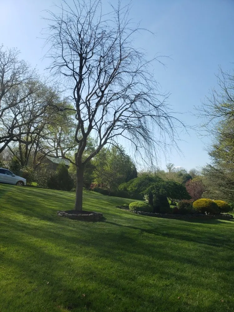 Custom lawn mowing service for year-round maintenance in Lansdale, PA by Ariana's Cleaning And Landscaping