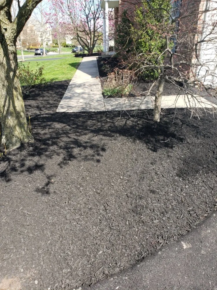 Trusted landscaping services for outdoor upgrades in Lansdale, PA by Ariana's Cleaning And Landscaping