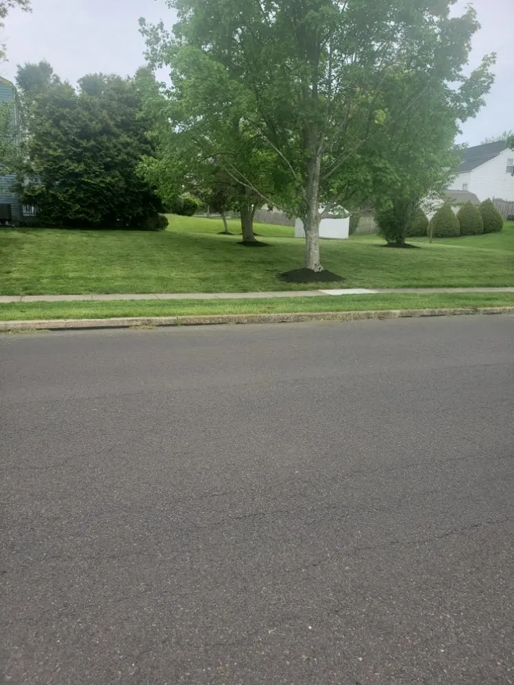 Custom lawn care service for residential properties across Lansdale, PA - Ariana's Cleaning And Landscaping