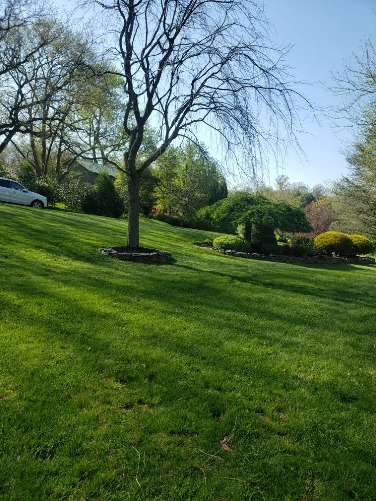 Trusted landscaping services in Lansdale, PA - Ariana's Cleaning And Landscaping
