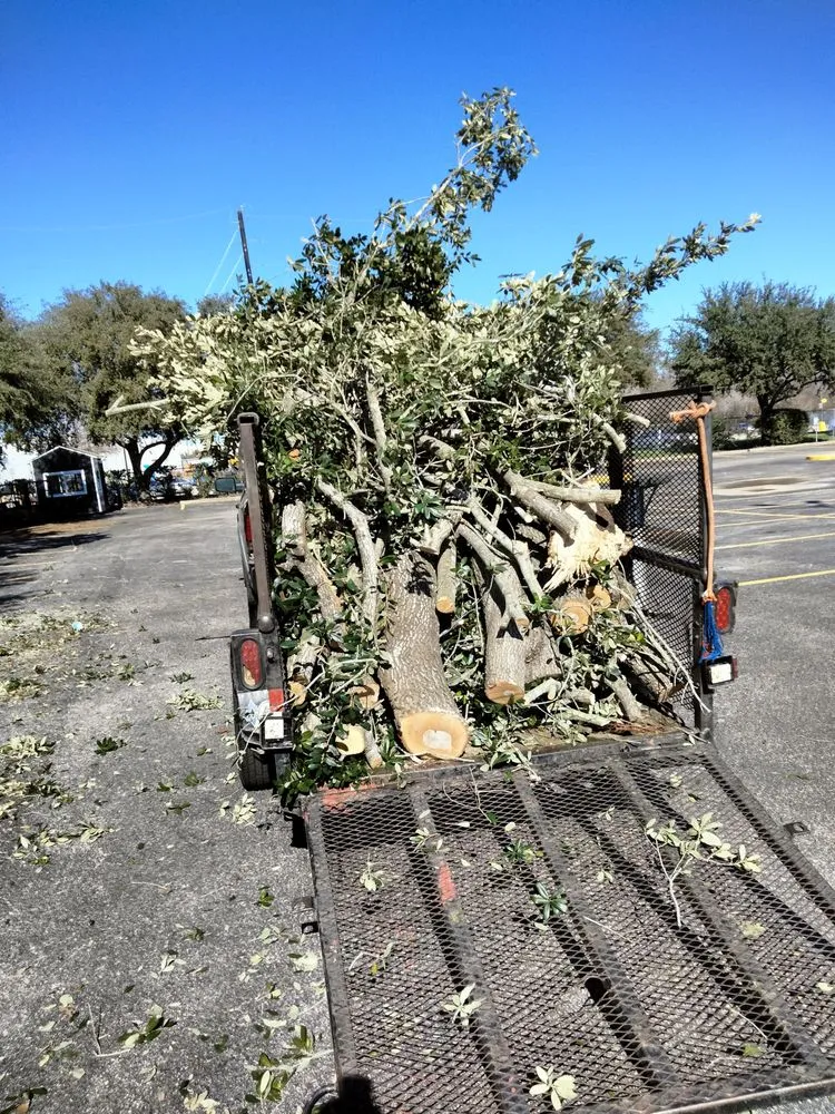 Local lawn care service in Houston, TX - Ariana's Lawn Service