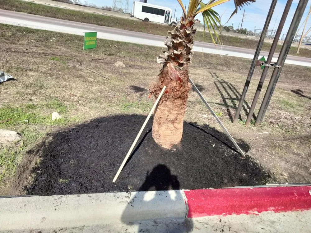 Professional lawn mowing service in Houston, TX by Ariana's Lawn Service