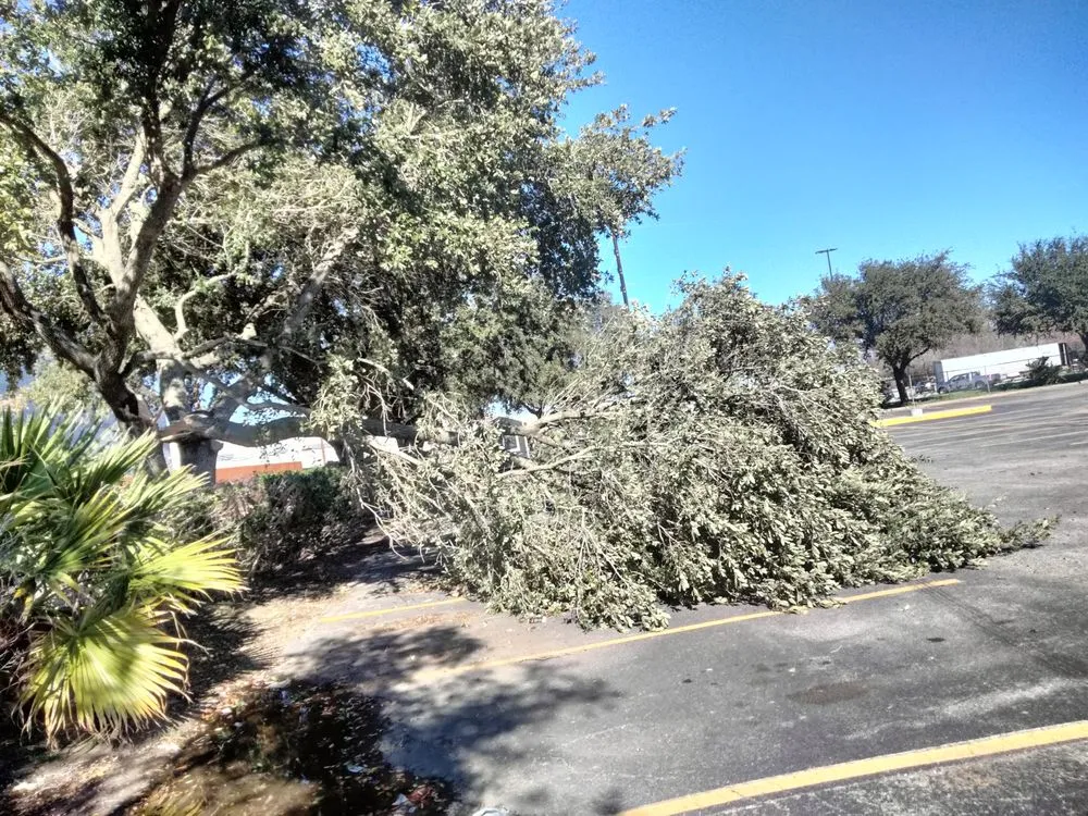 Reliable outdoor landscaping for beautiful yards across Houston, TX - Ariana's Lawn Service