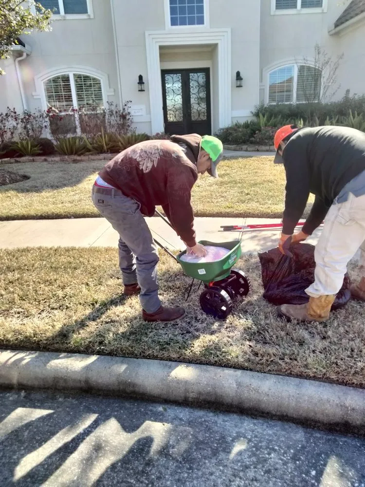 Reliable landscape design in Houston, TX - Ariana's Lawn Service