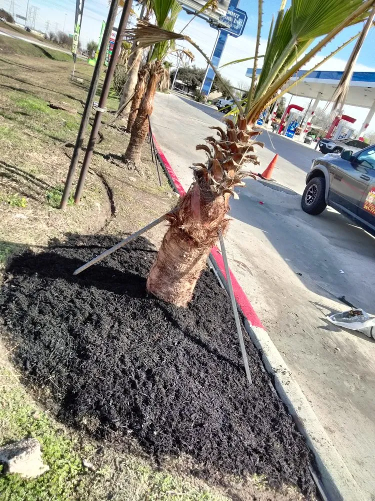 Top-rated garden landscaping near you in Houston, TX by Ariana's Lawn Service