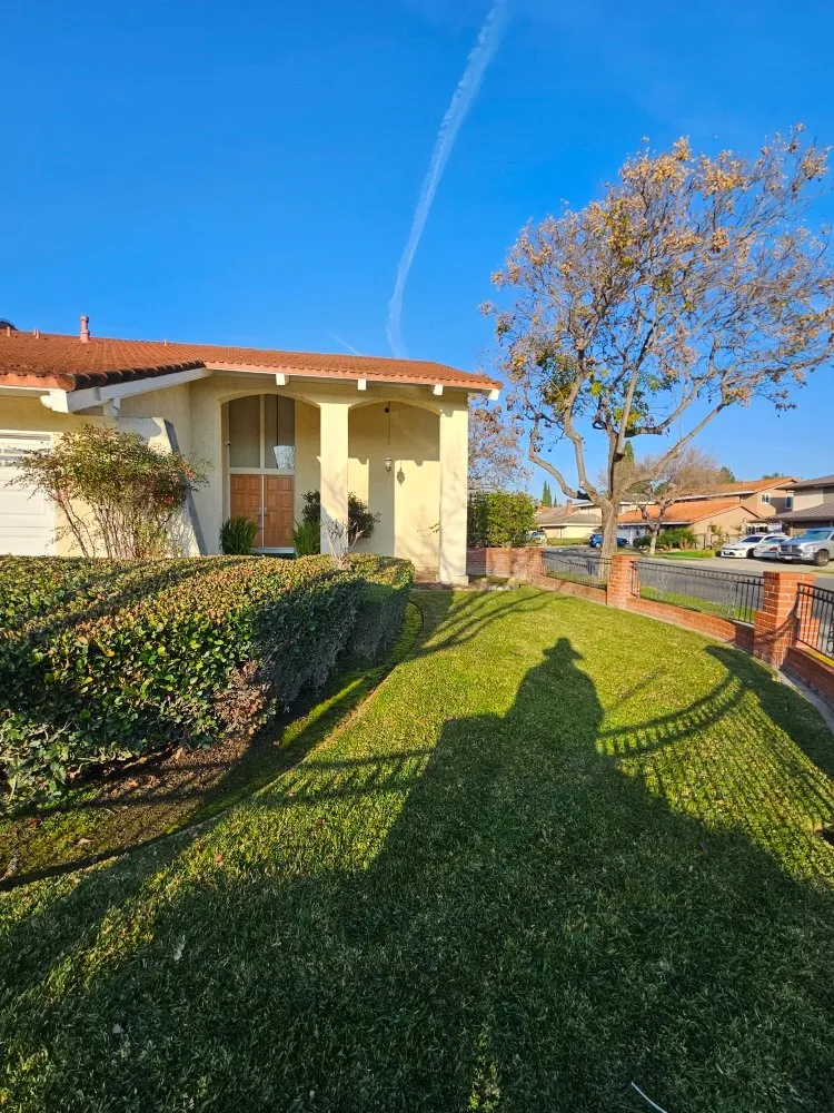 Reliable yard maintenance for year-round maintenance across Los Angeles, CA - Arias Garden Service and Landscaping