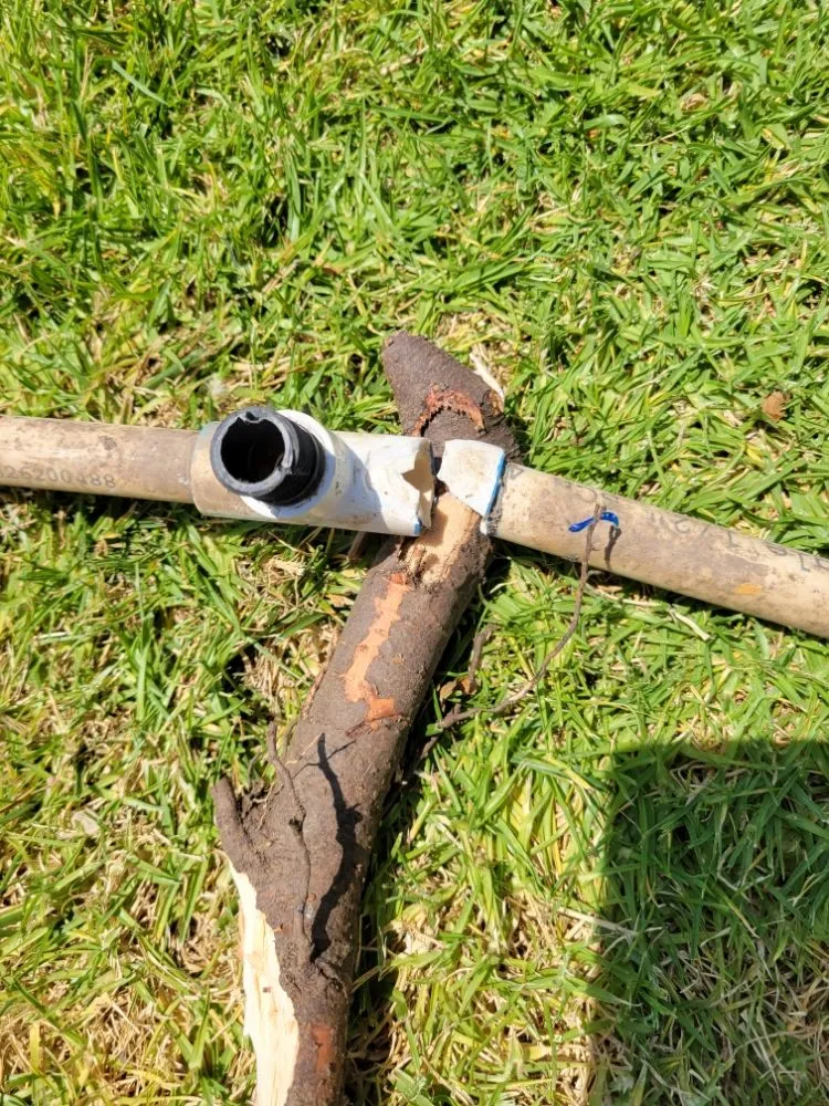 Expert residential landscaping for residential properties across Los Angeles, CA - Arias Garden Service and Landscaping