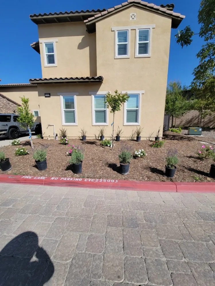 Custom landscaping services in Los Angeles, CA by Arias Garden Service and Landscaping