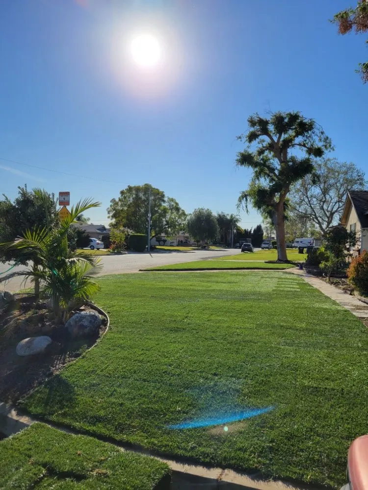 Reliable yard maintenance experts serving Los Angeles, CA - Arias Garden Service and Landscaping