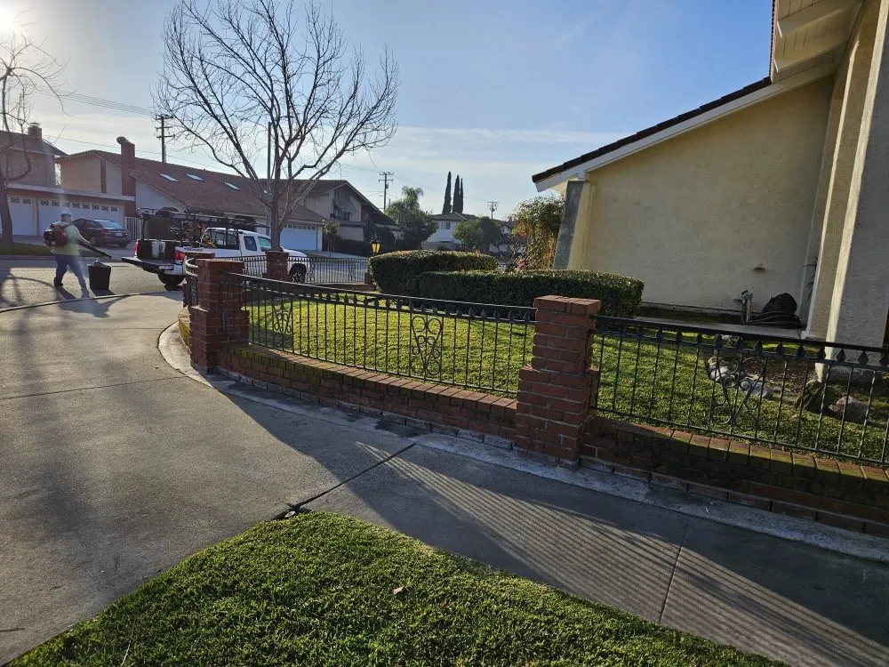 Affordable lawn mowing service in Los Angeles, CA by Arias Garden Service and Landscaping