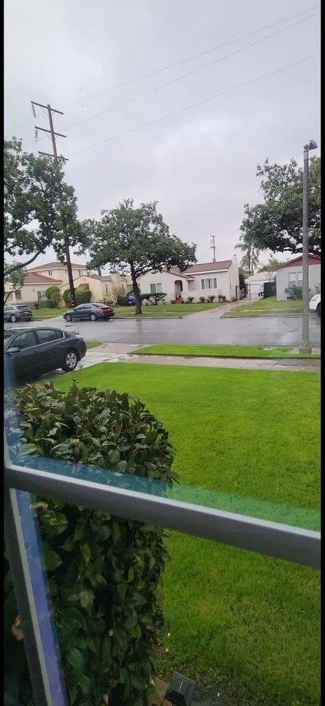 Affordable yard cleanup service experts serving Los Angeles, CA - Arias Garden Service and Landscaping