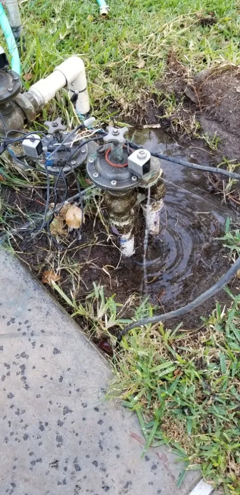 Reliable landscape design in Los Angeles, CA - Arias Garden Service and Landscaping