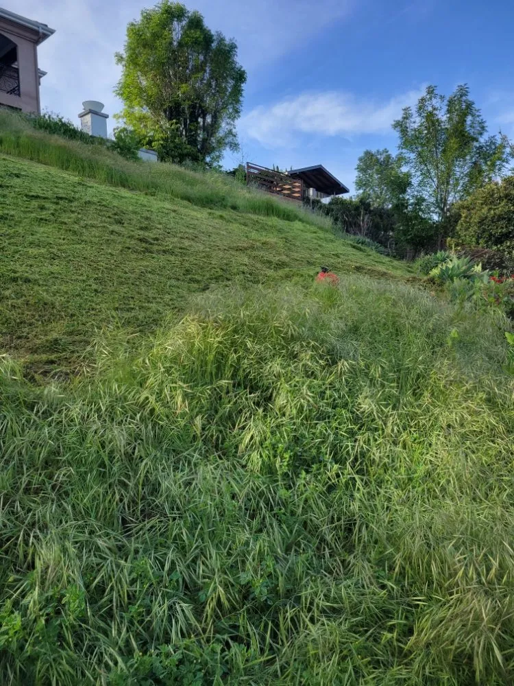 Trusted landscape installation for outdoor upgrades in Los Angeles, CA by Arias Garden Service and Landscaping